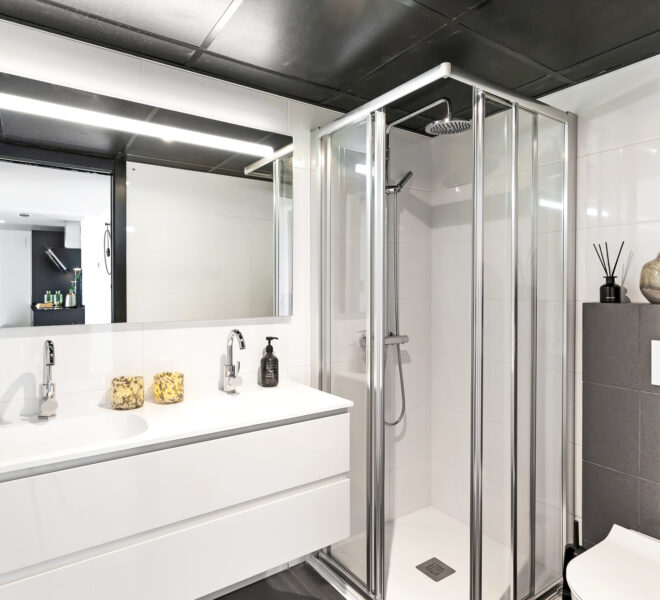 Penthouse bathroom 1