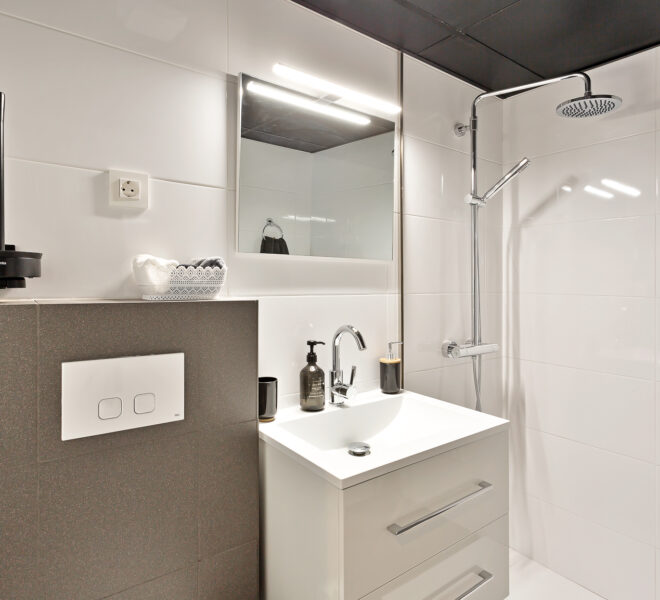 Penthouse bathroom 2