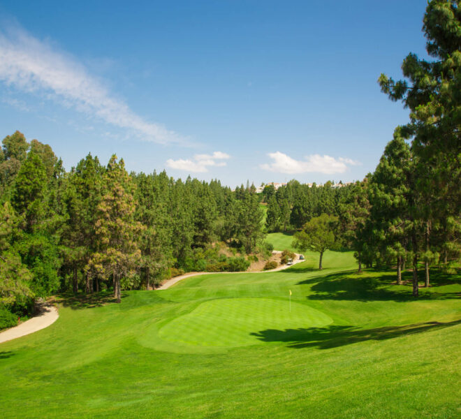 Chaparral-Golf-Club-Mijas-Costa-del-Sol-hoyo-8-a