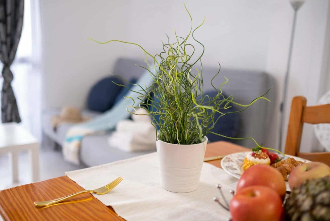 WhatsApp Image 2026-01-28 at 13.32.01 (2)