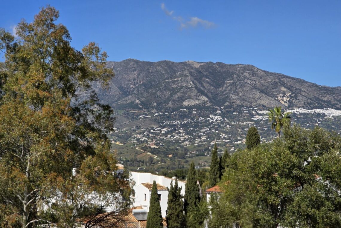 15-e65d437abef3cdae9b514eeeb695a8b9