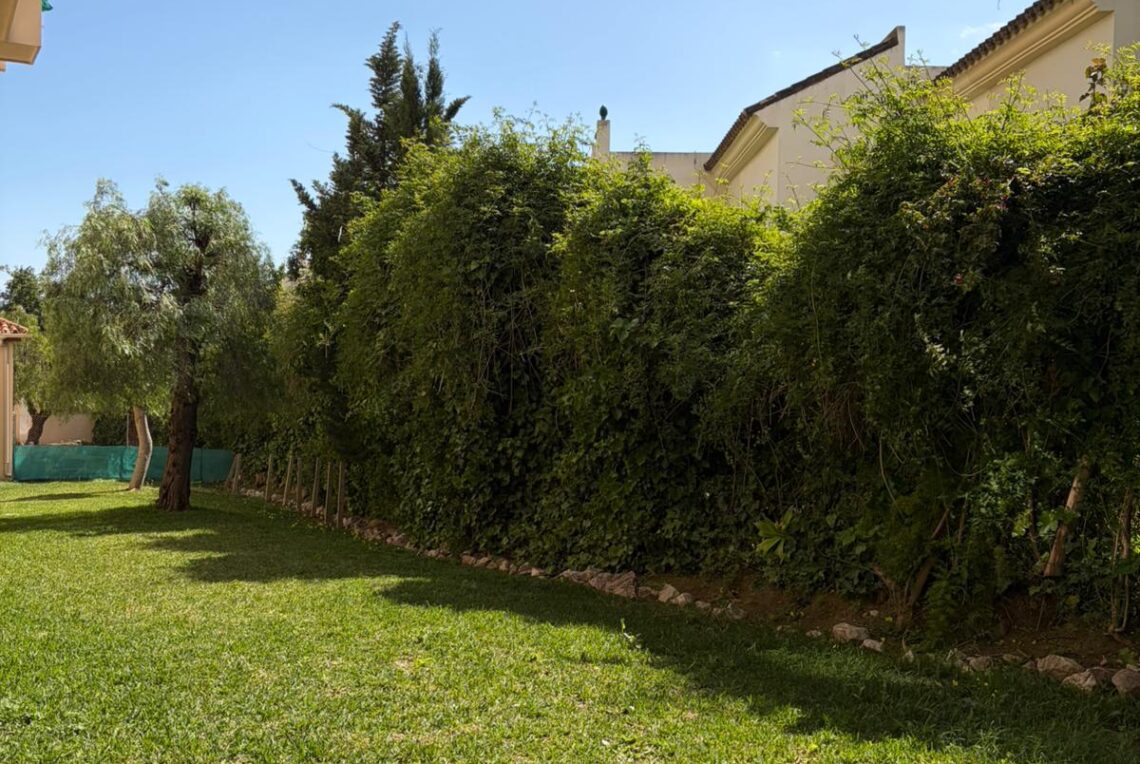 WhatsApp Image 2026-04-30 at 13.51.33 (7)